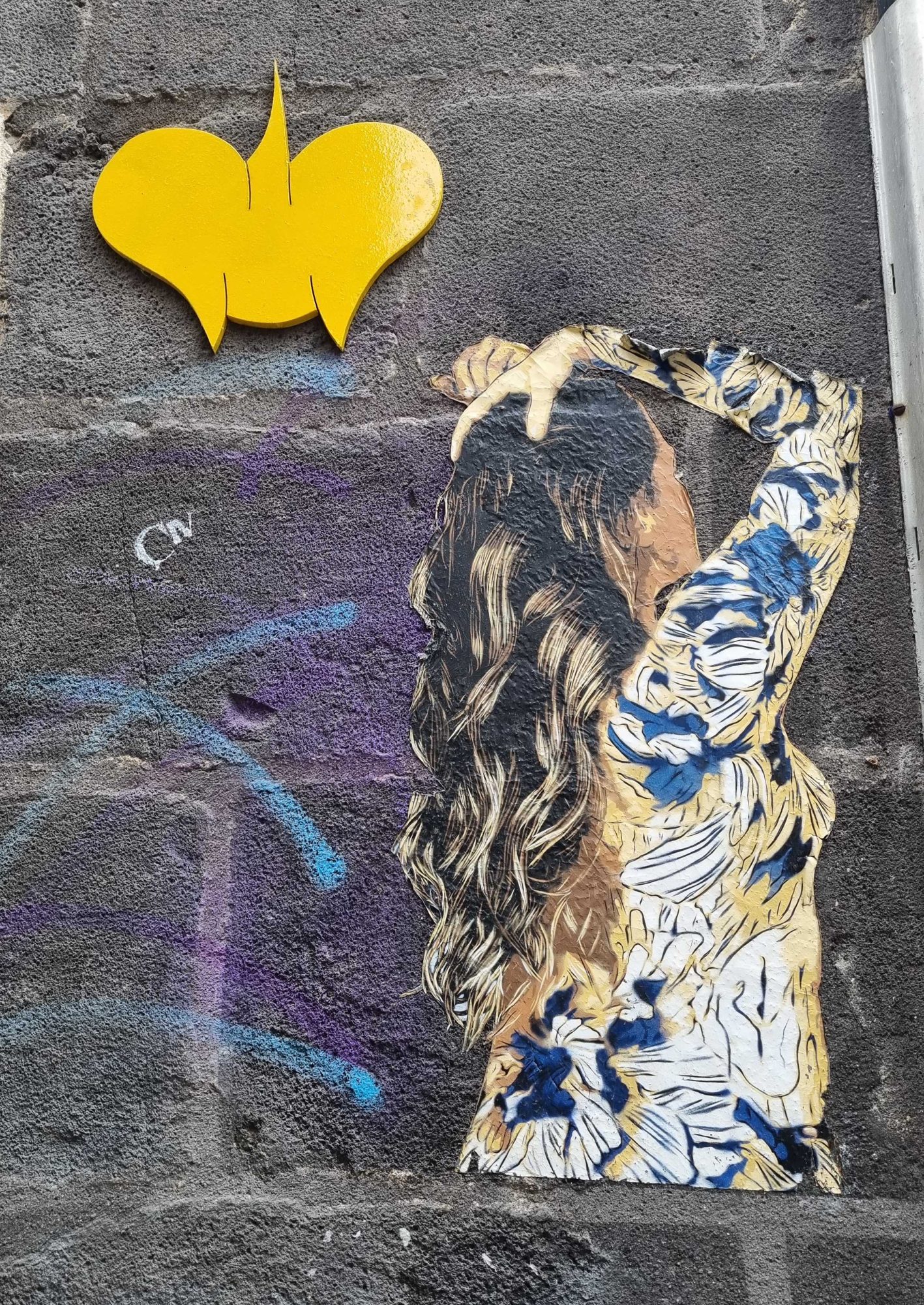Femme au dos fleuri — Street art à Clermont-Ferrand
