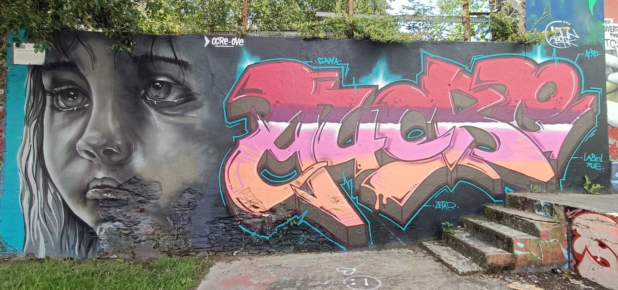 Portrait et graffiti rose — Street art de AERO à Nantes