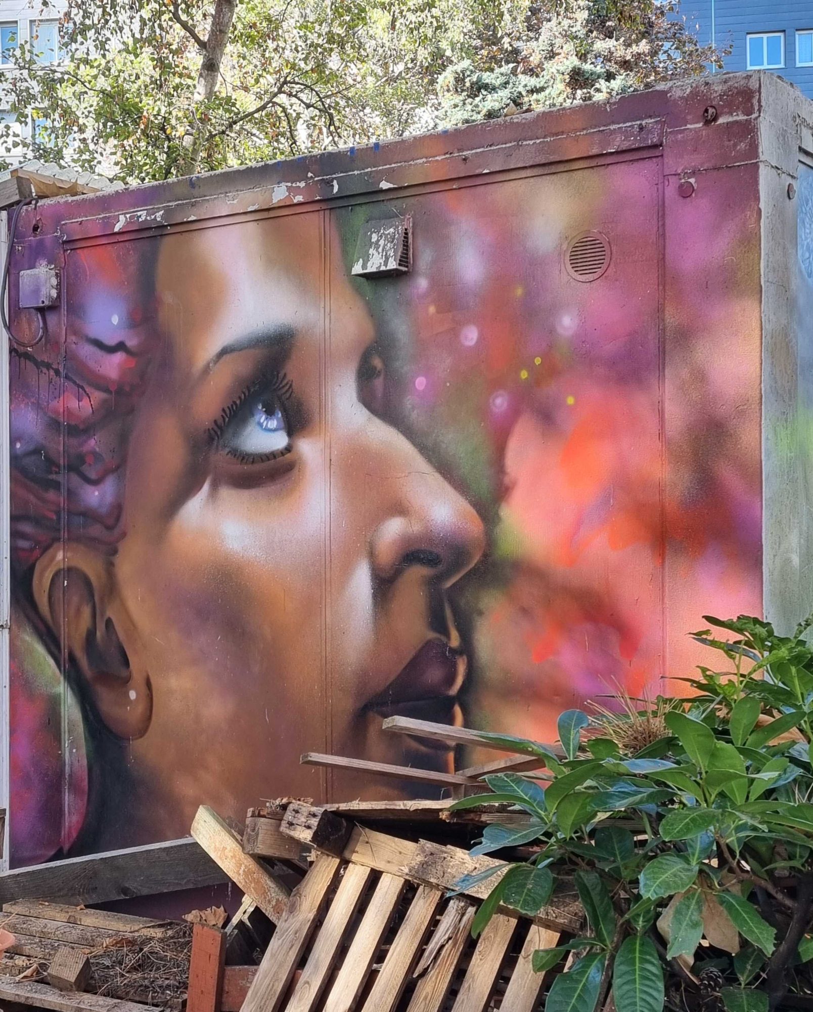 Feminine Portrait in Golden Light by Newi — Street art by Newi (Julien Berland) in Clermont-Ferrand