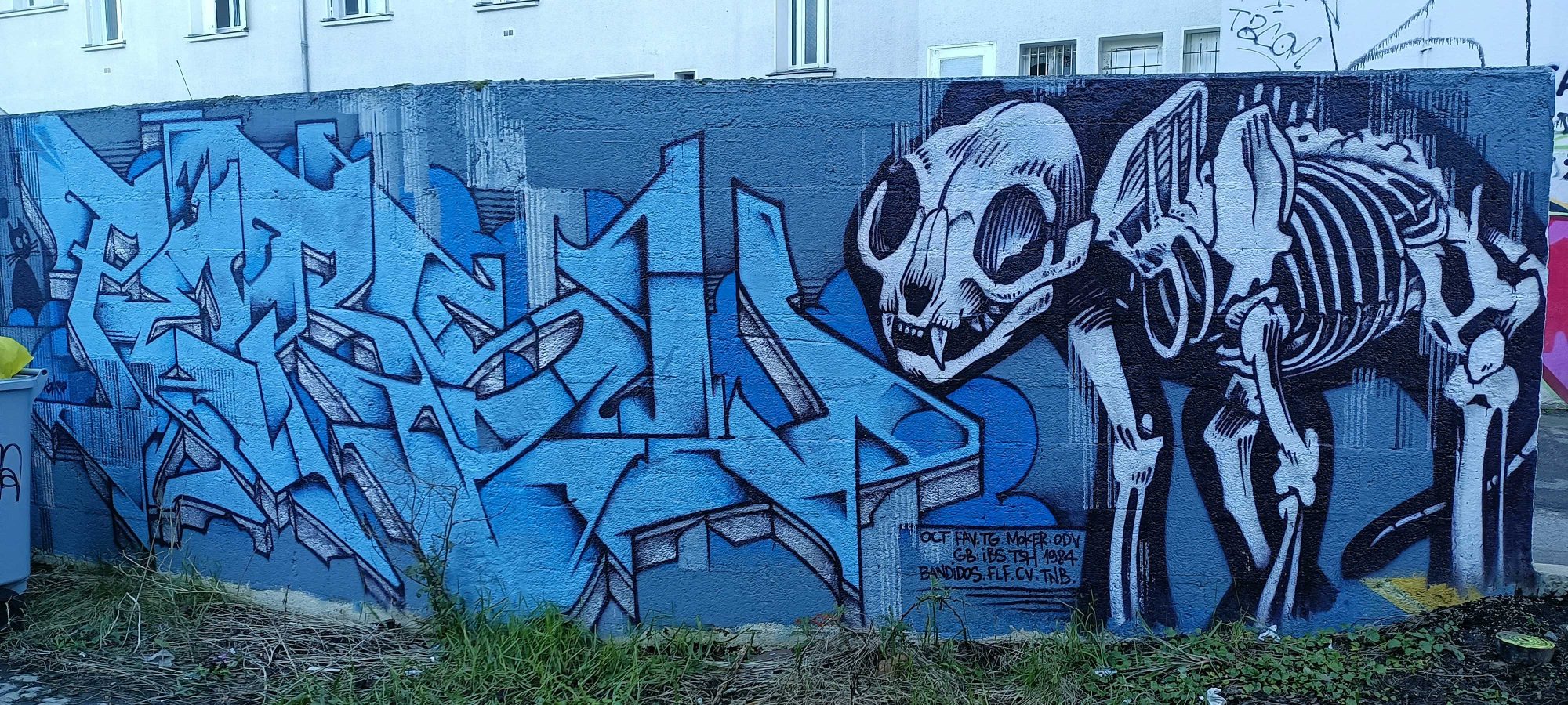 The Cat Skeleton on Blue — Street art by Persu in Nantes