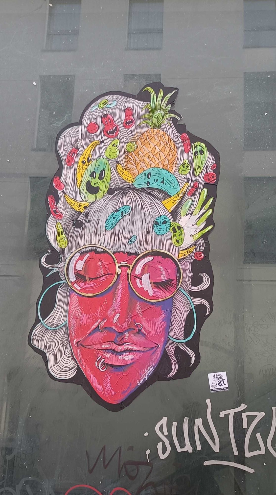 La chevelure aux fruits et lunettes roses — Street art à Nantes