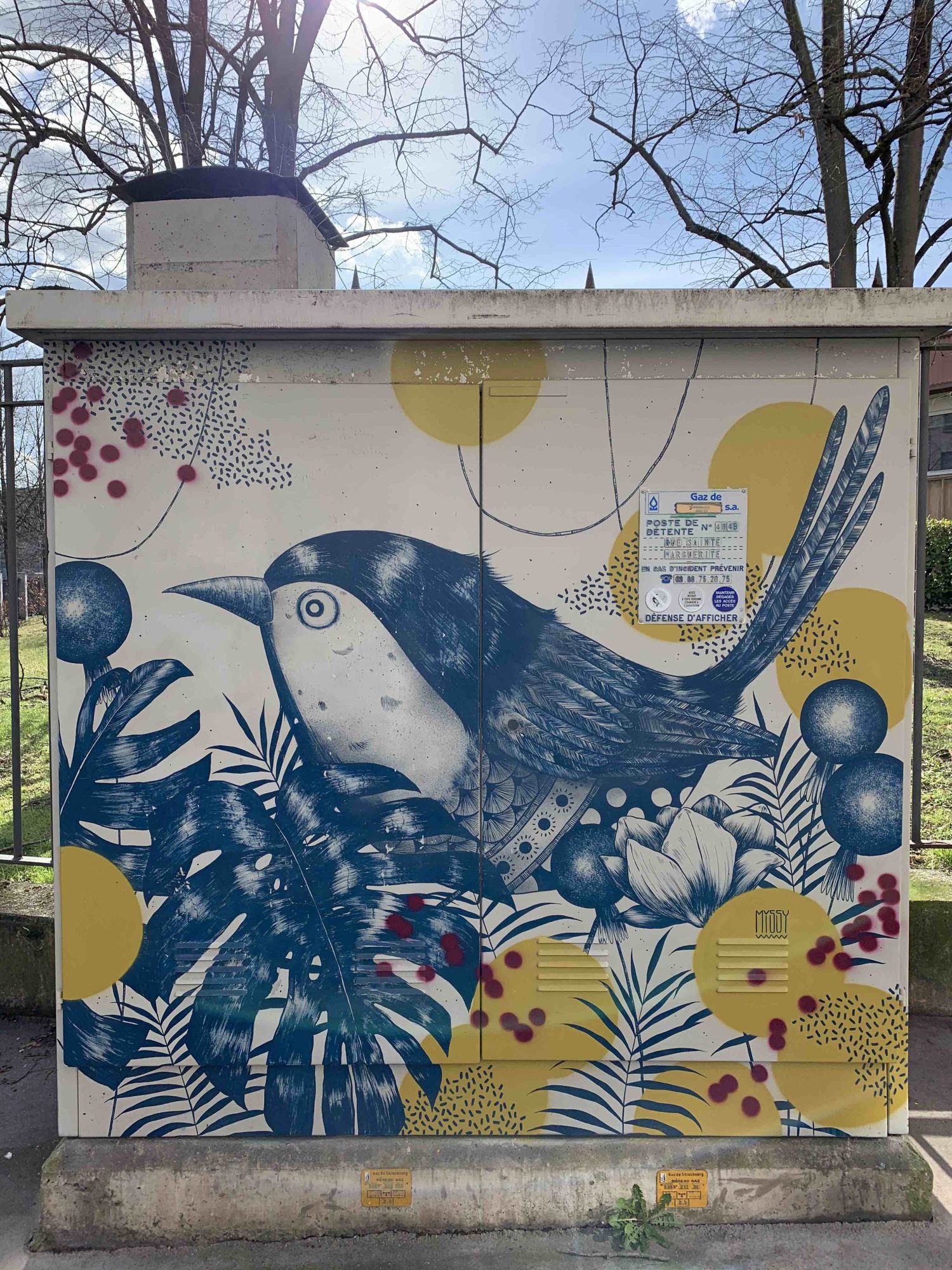 Oiseau Tropical par MISSY — Street art de MISSY (Lisa Di Scala) à Strasbourg