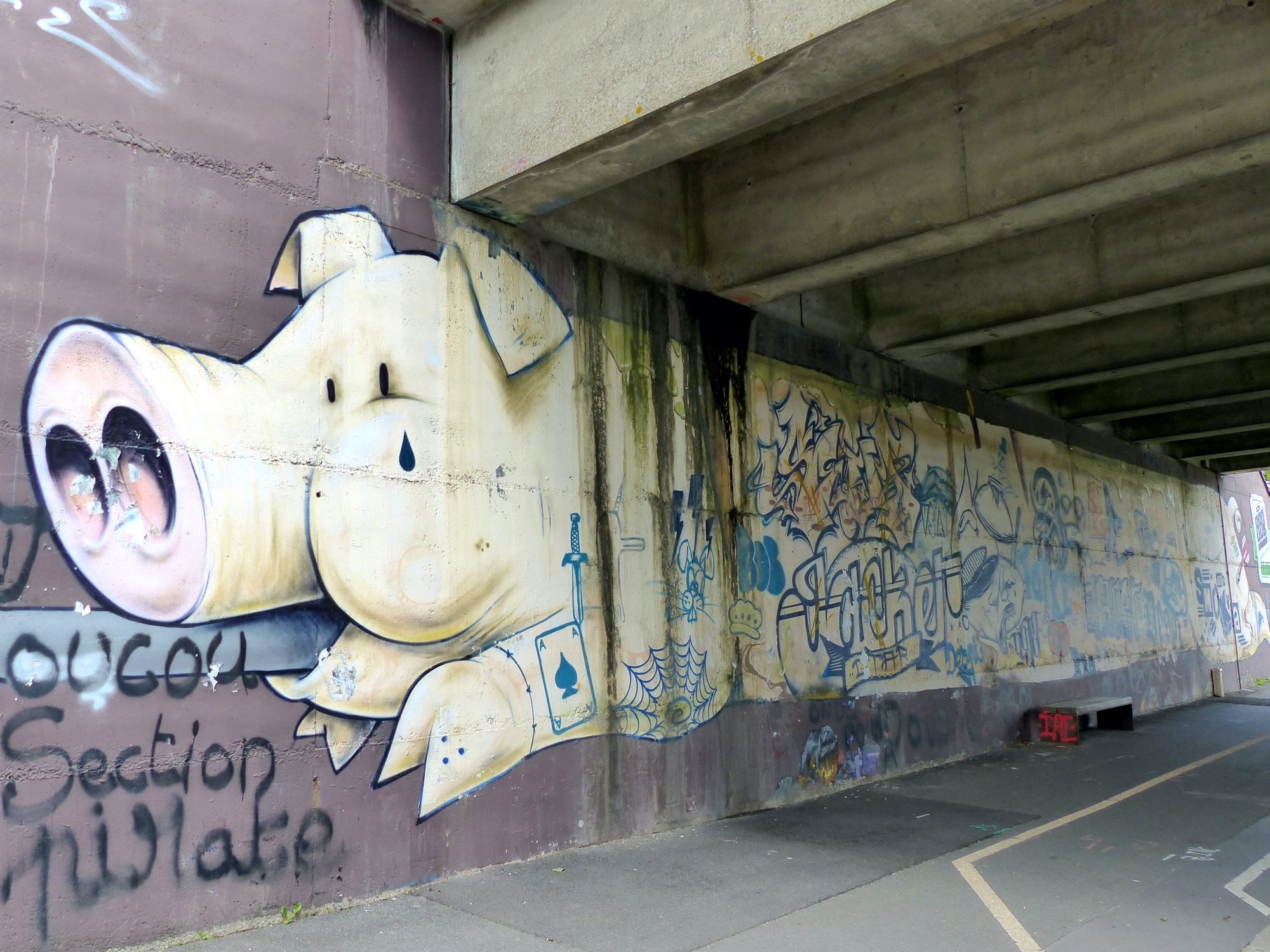 Le cochon au groin géant — Street art de Smoka à Nantes