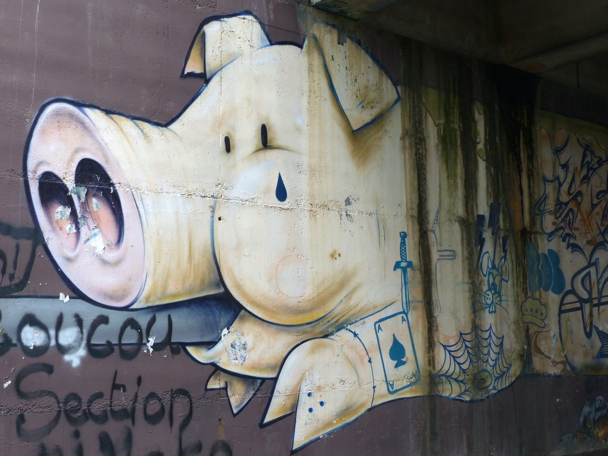 Le cochon au groin géant (détail) — Street art de Smoka à Nantes
