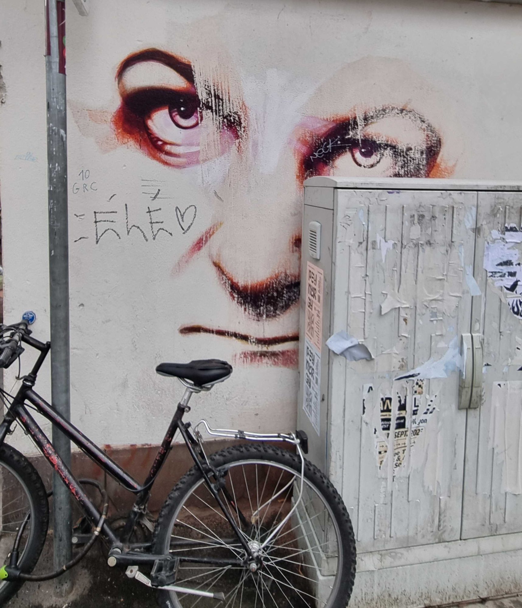 Intense Portrait Dark Gaze — Street art in Strasbourg