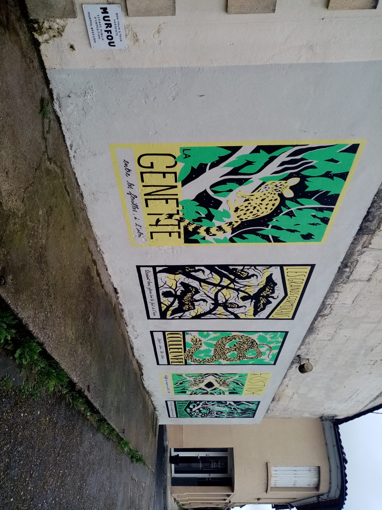 La Genette - planches naturalistes — Street art à Castillon-la-Bataille