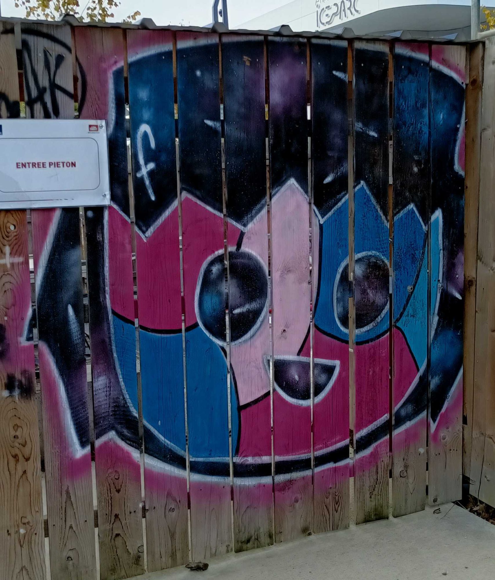 Bicolor Round Face — Street art by Fast Freak in Angers