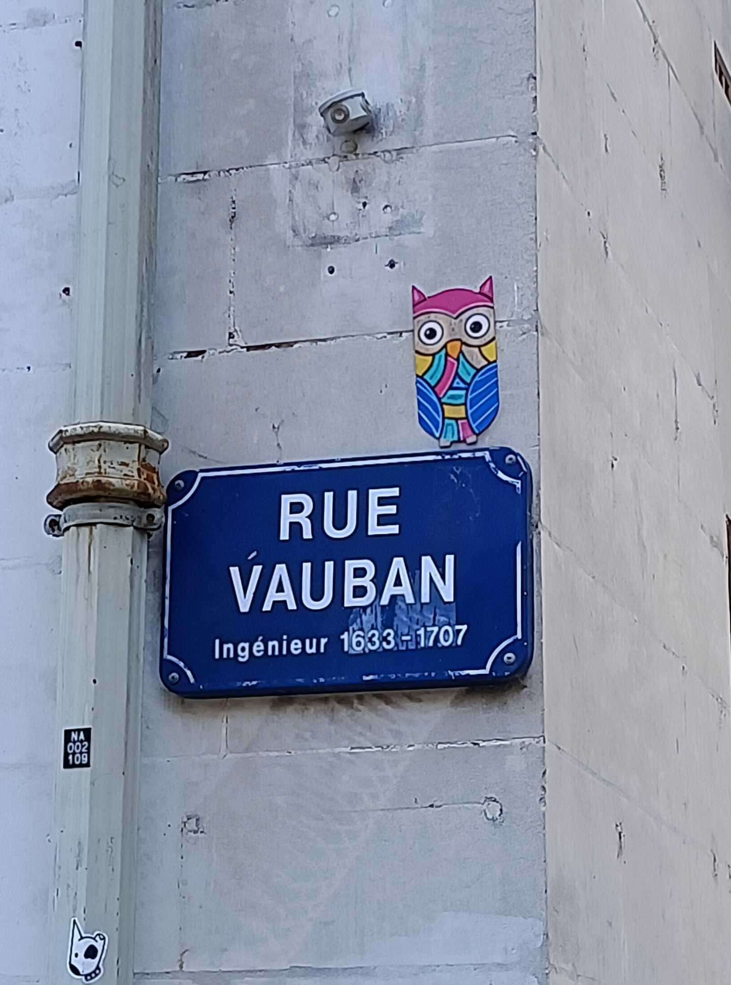 Hibou aux lunettes, Rue Vauban — Street art à Nantes