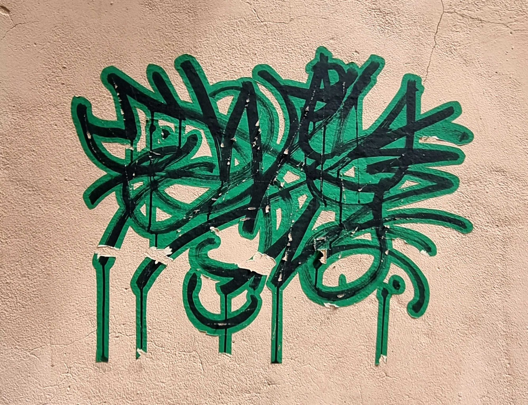 Tag vert calligraphié — Street art à Clermont-Ferrand