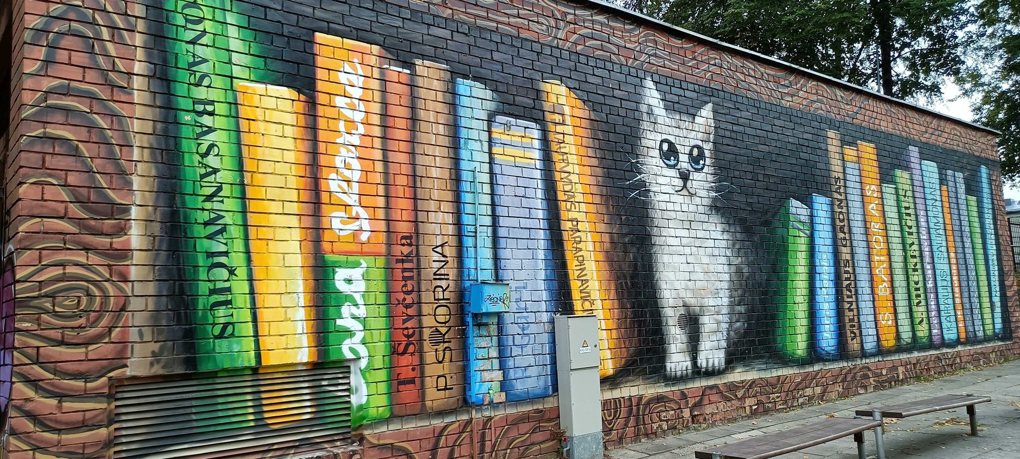 Bibliothèque murale colorée avec chat — Street art de Tautvydas Parapinavičius à Vilnius