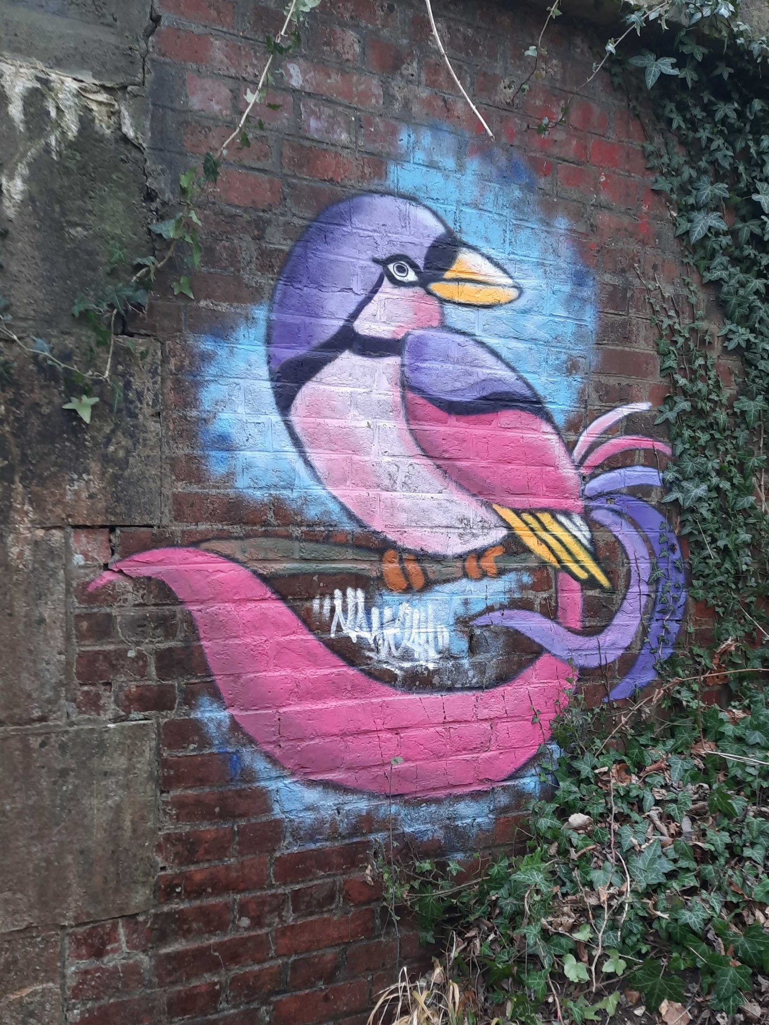 Oiseau coloré sur brique — Street art à Saint-Étienne-du-Vauvray