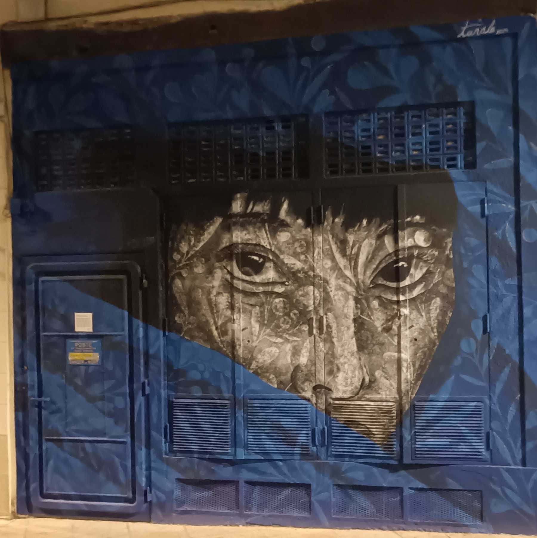 Night Face by Tanala — Street art by Tanala in Nantes