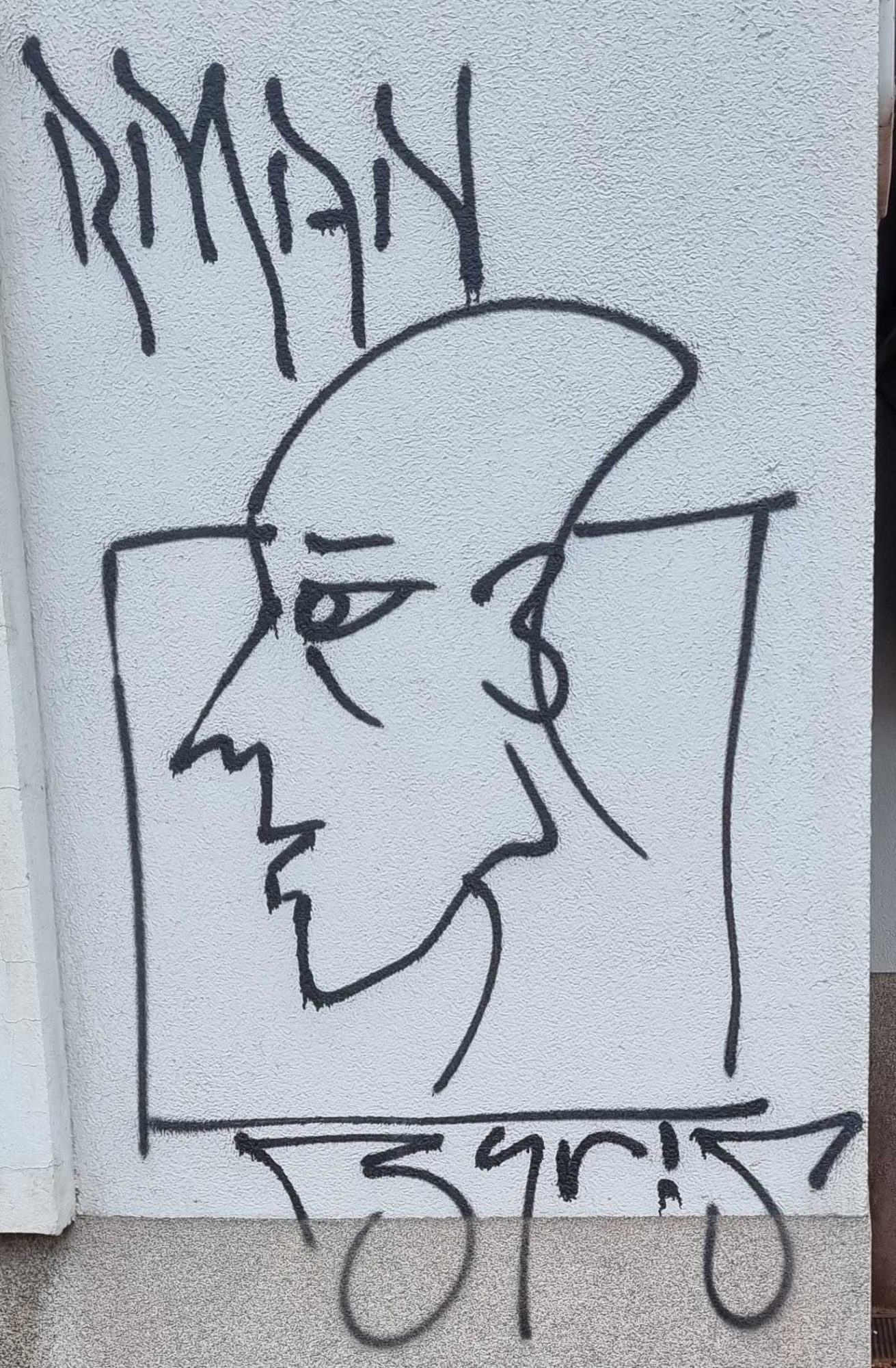 Continuous Line Profile — Street art in Grenoble