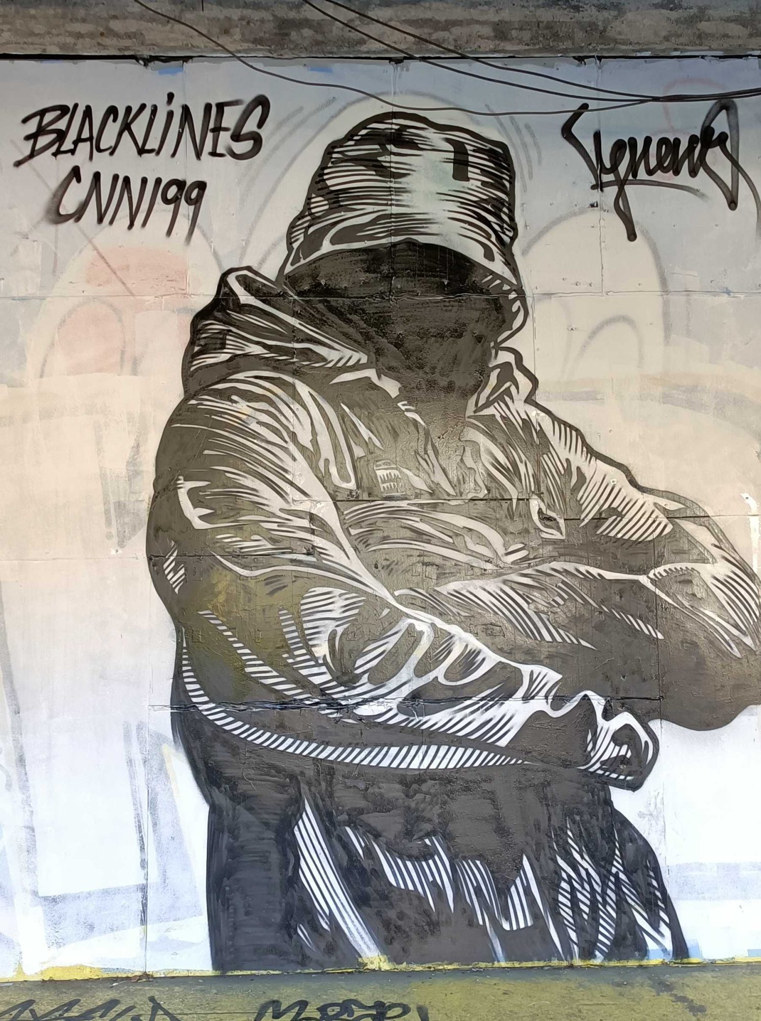 Blacklines — Street art de Miss Veneno à Nantes