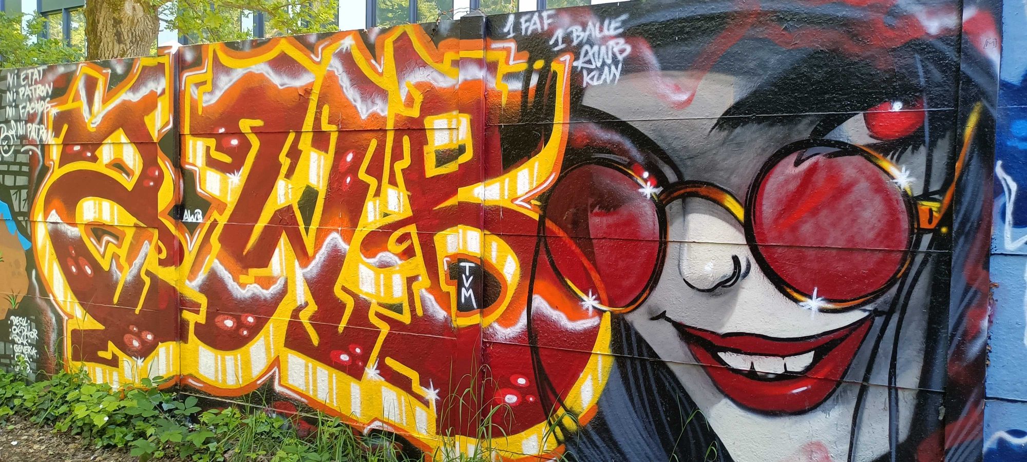 Orange Lettering and Woman in Red Glasses — Street art in Nantes
