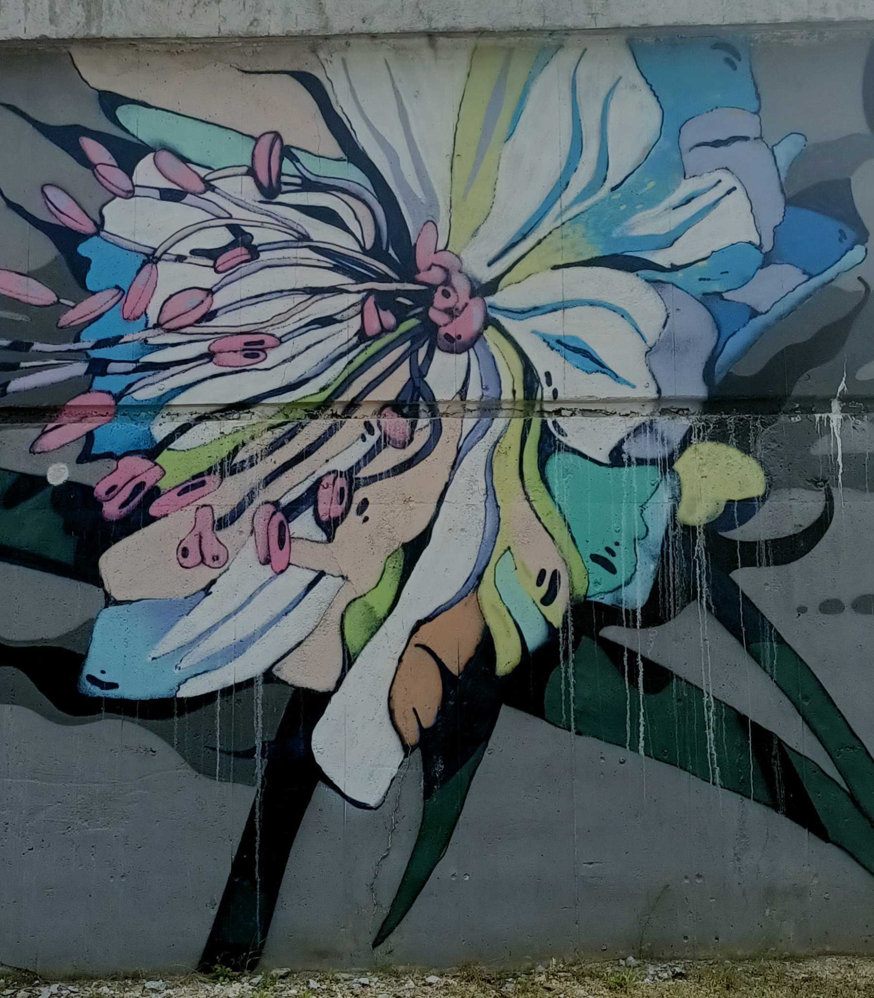 Large White Flower with Pink Stamens — Street art in Prague