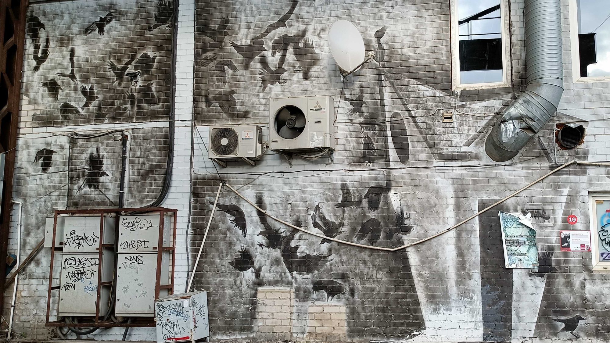 Nuée d'oiseaux en grisaille — Street art de Povilas Kupčinskis à Vilnius