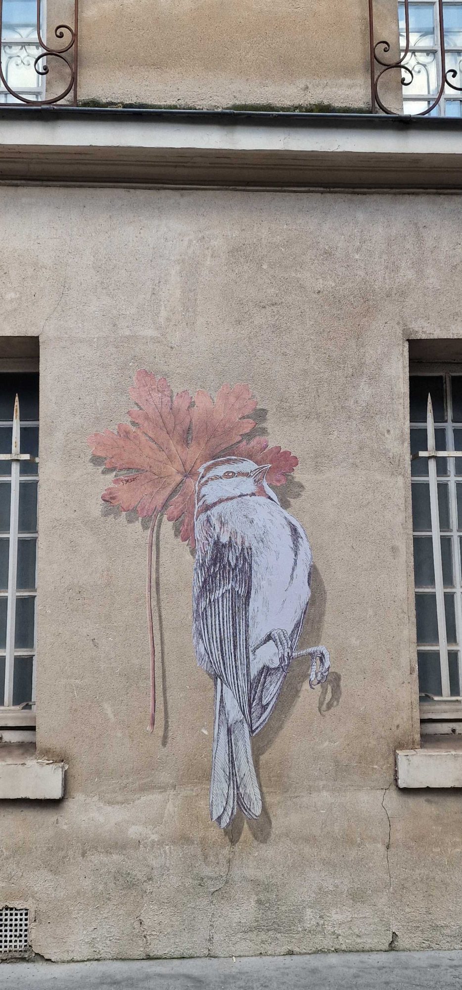 Oiseau suspendu à la feuille — Street art à Paris