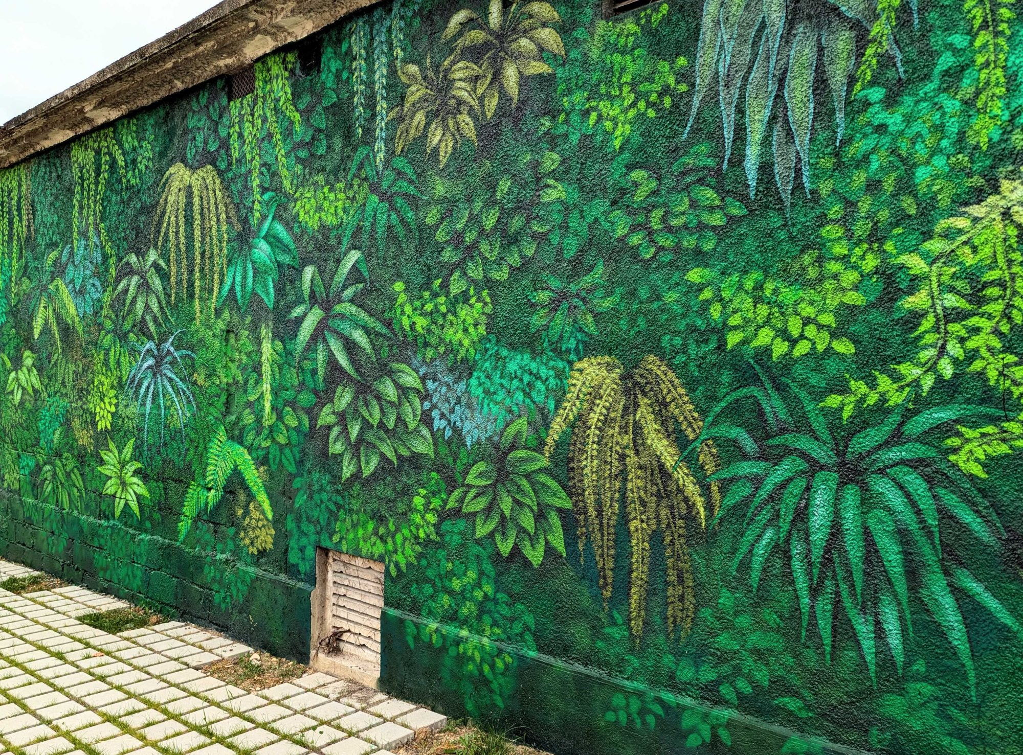 Mur-murations végétales — Street art de Disk à Bourges