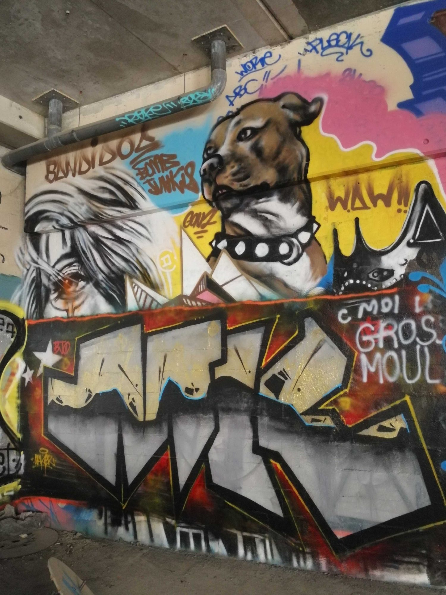 Pitbull and Manga Character — Street art in Paris