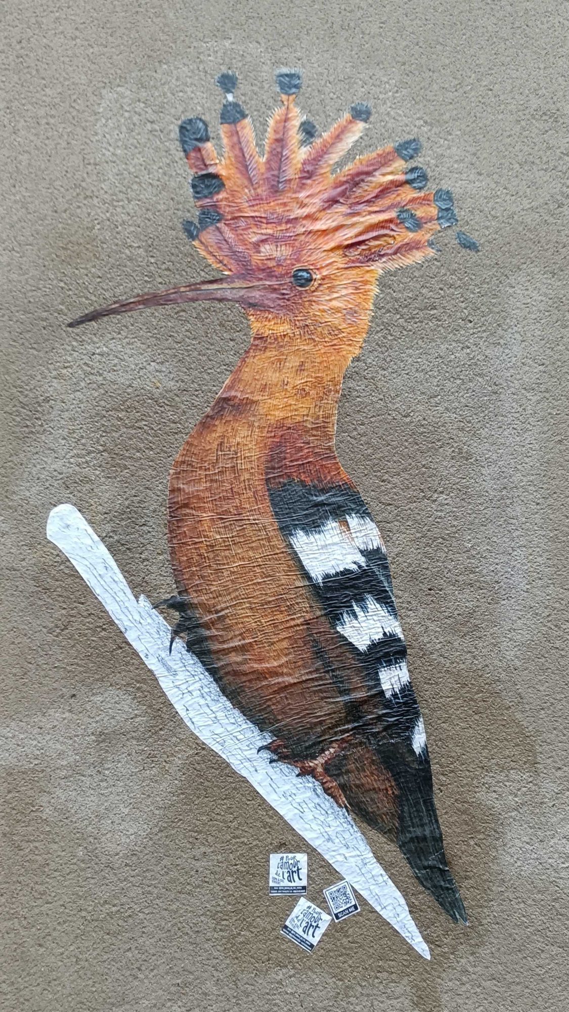 Photorealistic Hoopoe Bird — Street art in Nantes