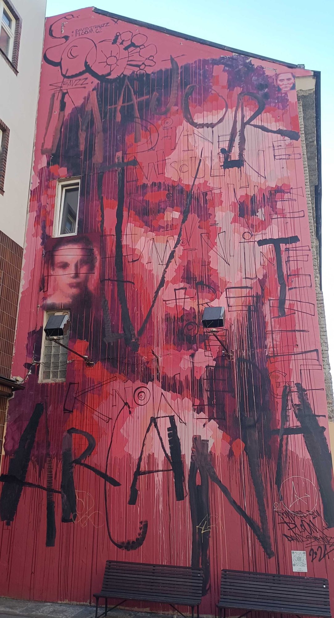 Red Portrait and Arkana — Street art by David Strauzz in Prague