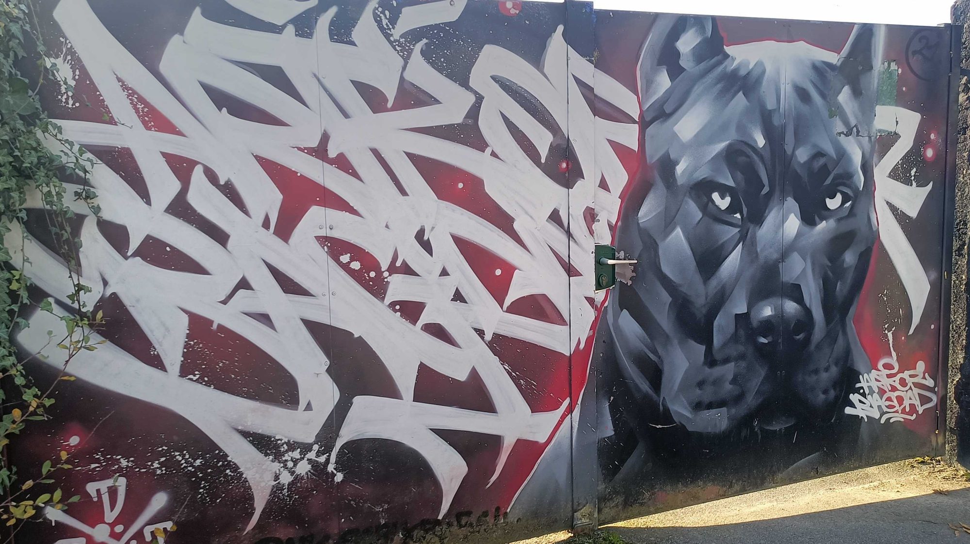 Portrait de pitbull et pièce chromée — Street art à Rennes