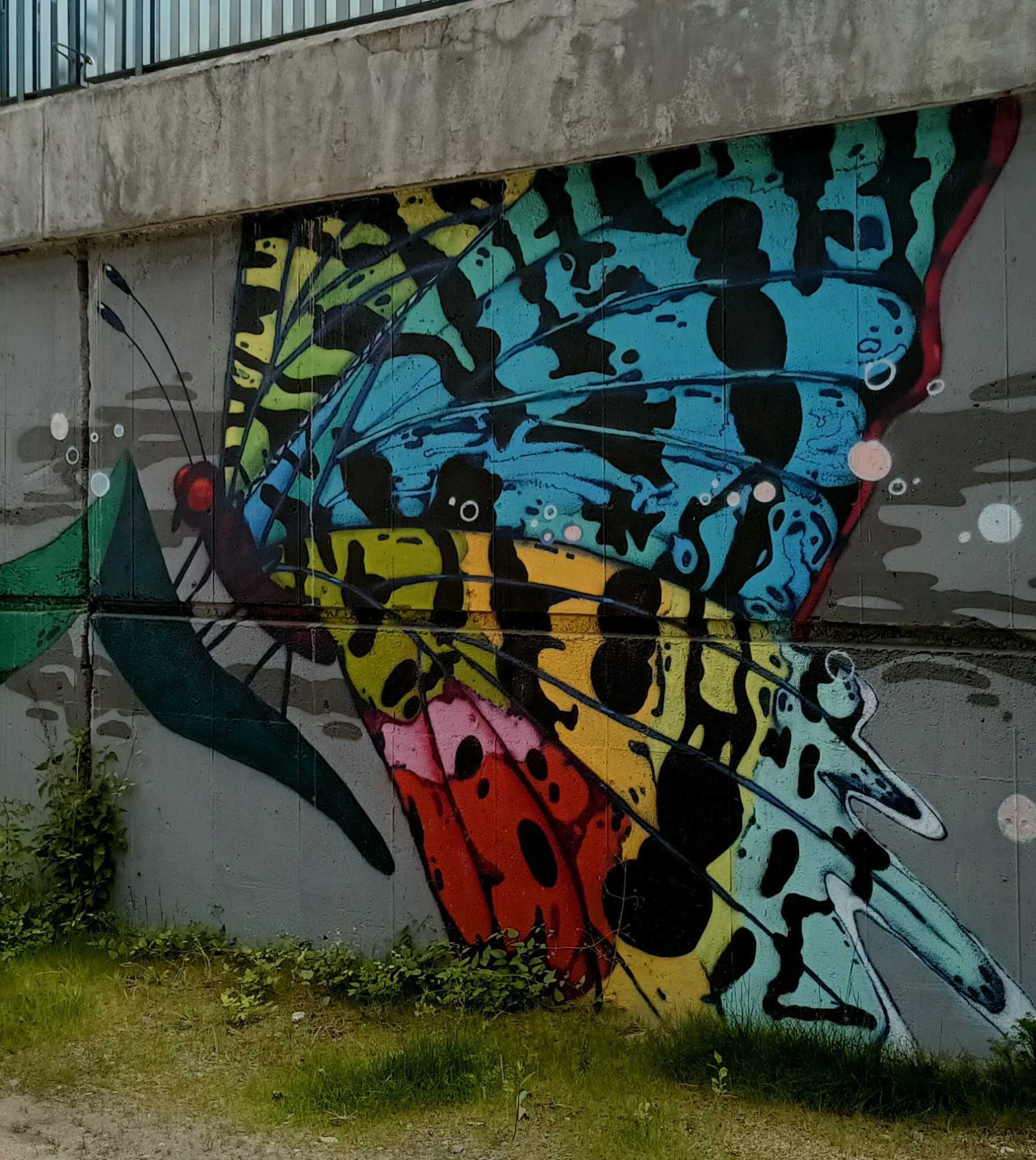 Giant Multicolor Butterfly — Street art in Prague