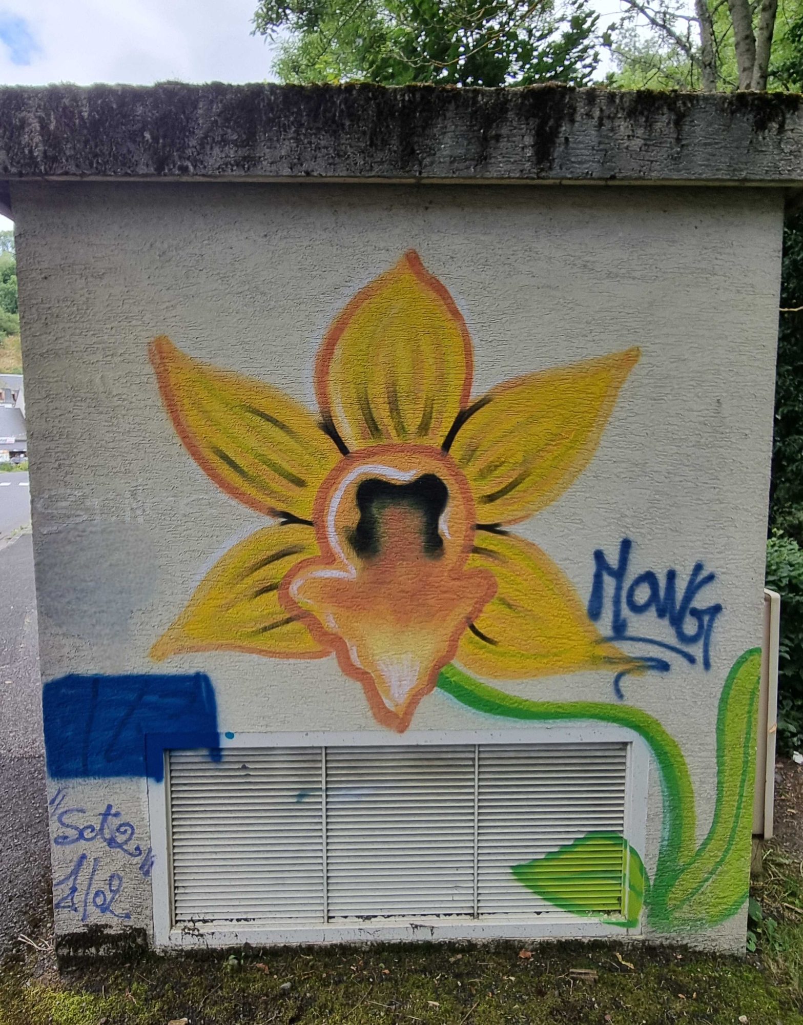 Yellow-Eyed Orchid on Grey Wall — Street art in Saint-Nectaire