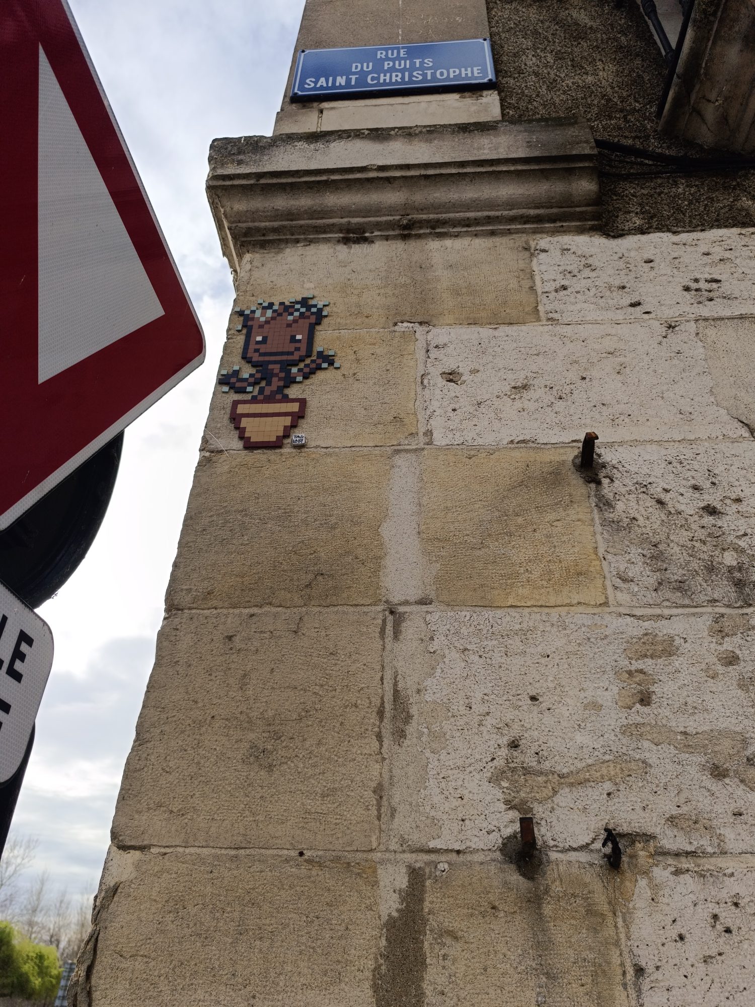 Potted Groot on Rue du Puits Saint-Christophe — Street art in Orléans