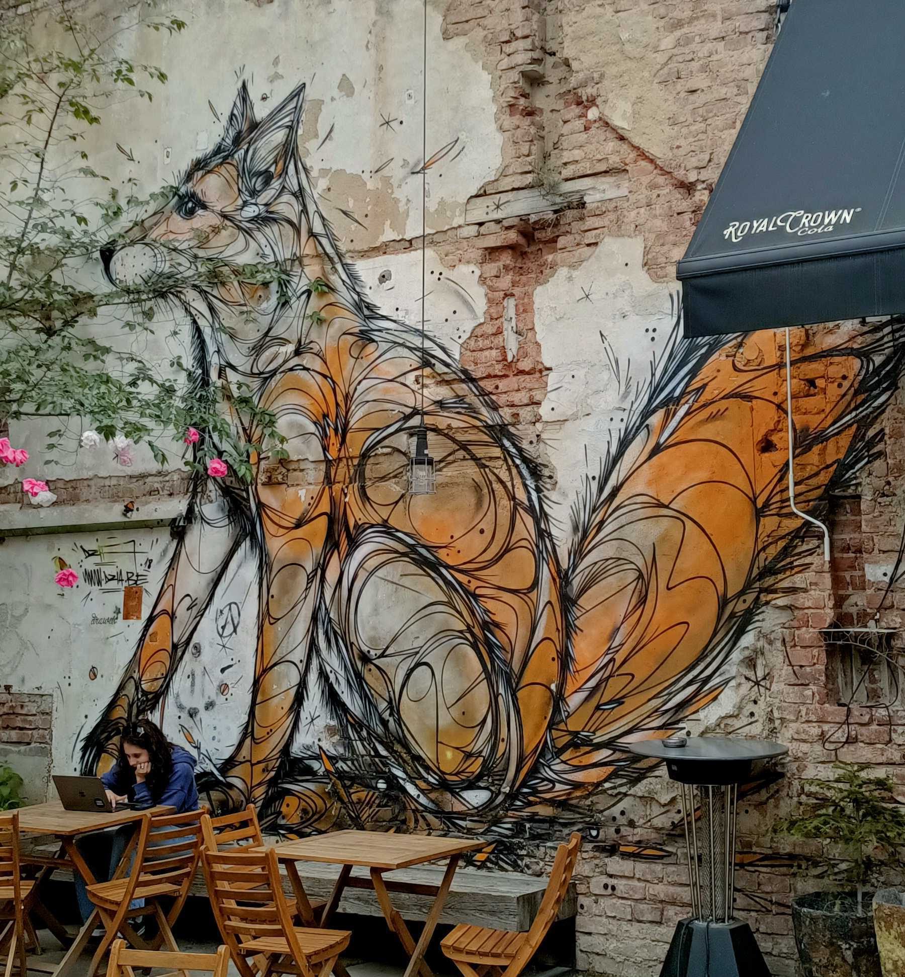 Fox with Swirling Lines — Street art by DZIA in Prague
