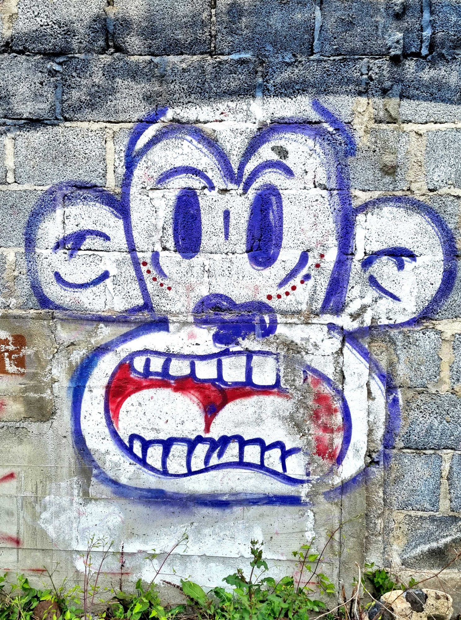Grande tête aux dents serrées — Street art à Clermont-Ferrand