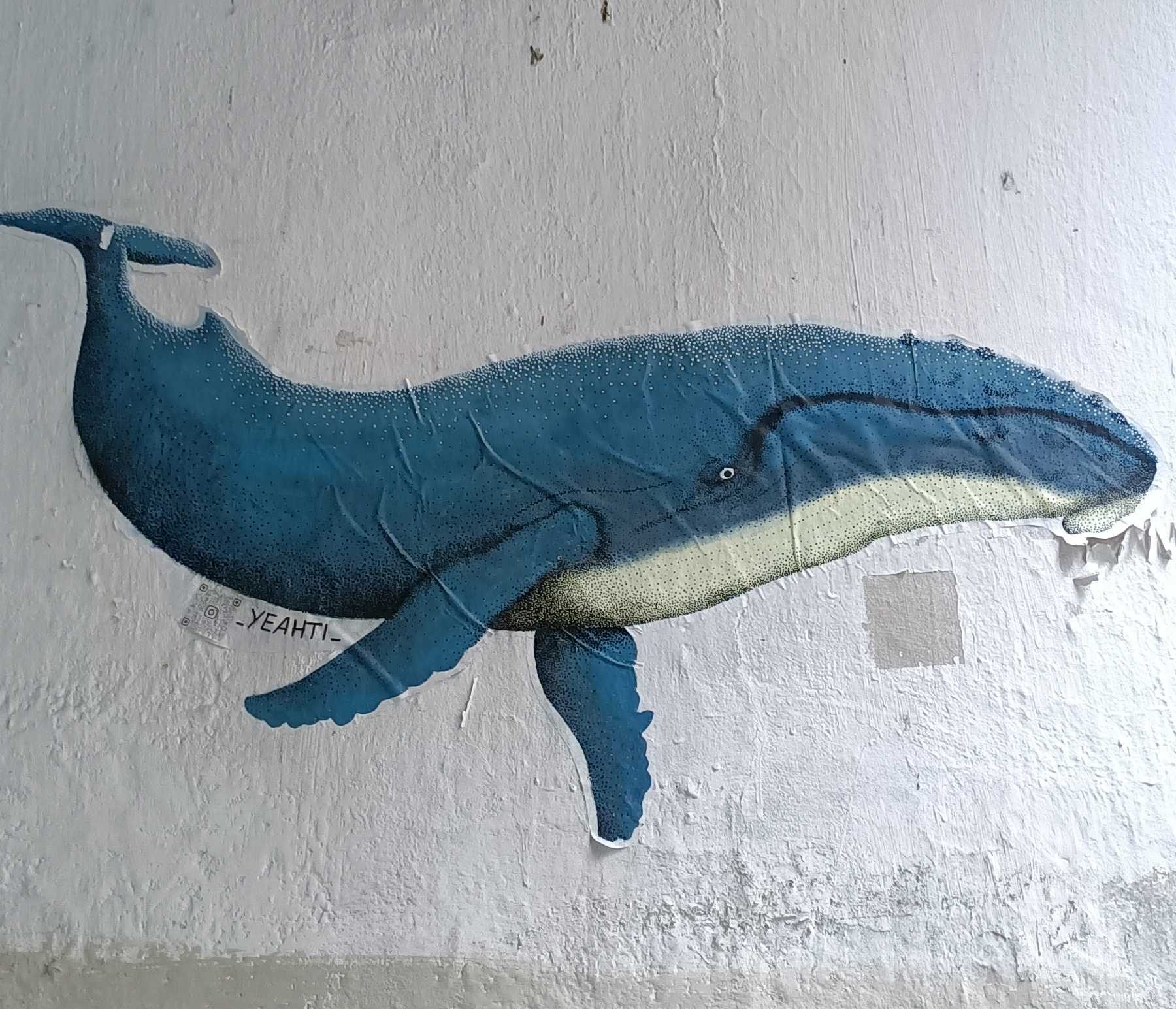 Blue Whale by Yeahti — Street art in Nantes