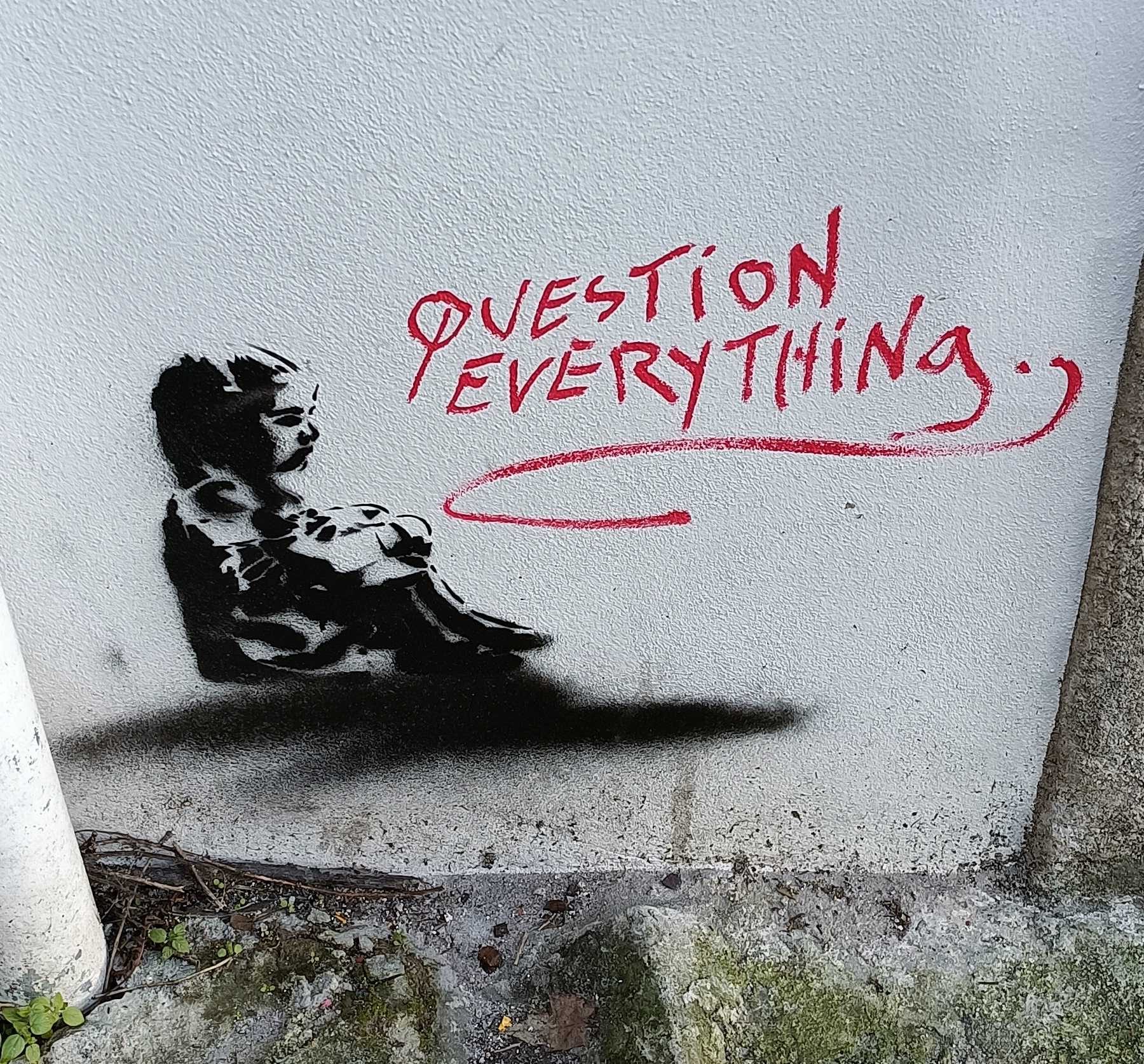 Question everything — Street art à Porto