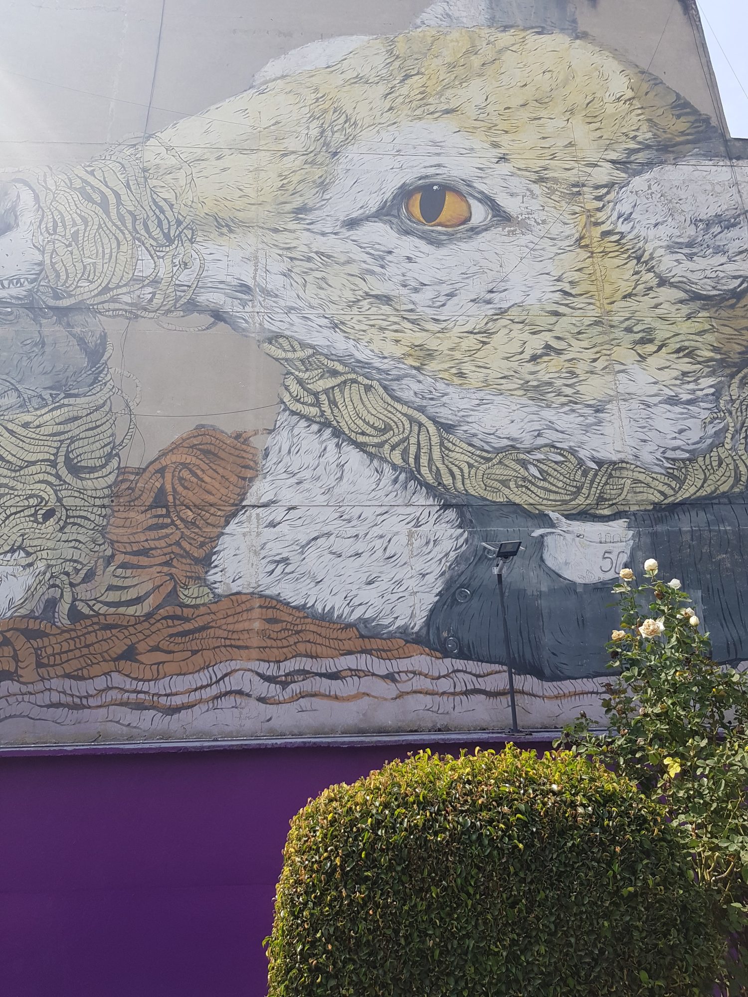 Giant Wolf with Golden Eyes in Mexico City — Street art in Mexico City