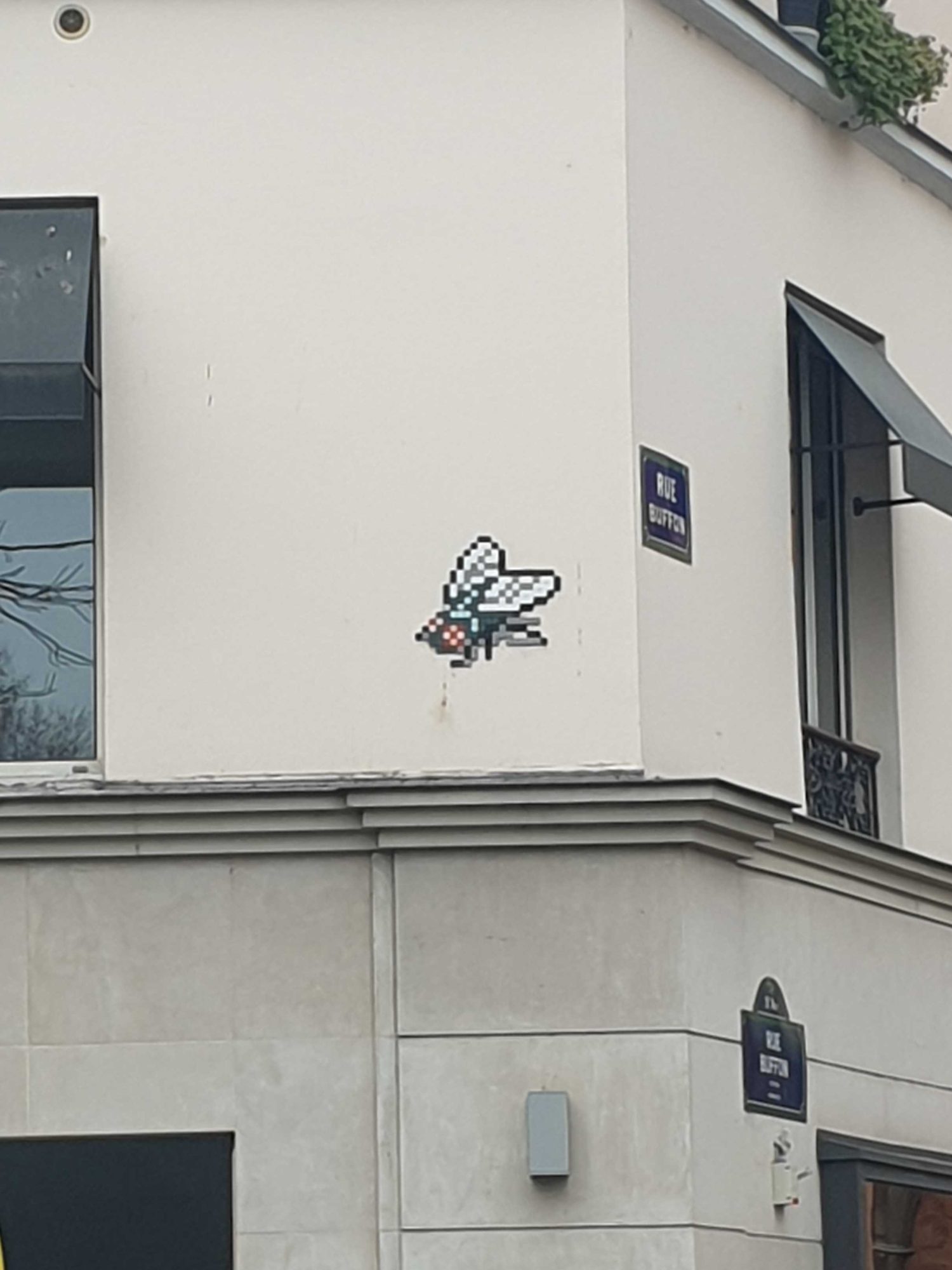 PA_1383, Space Invader on Rue Buffon — Street art by Invader in Paris