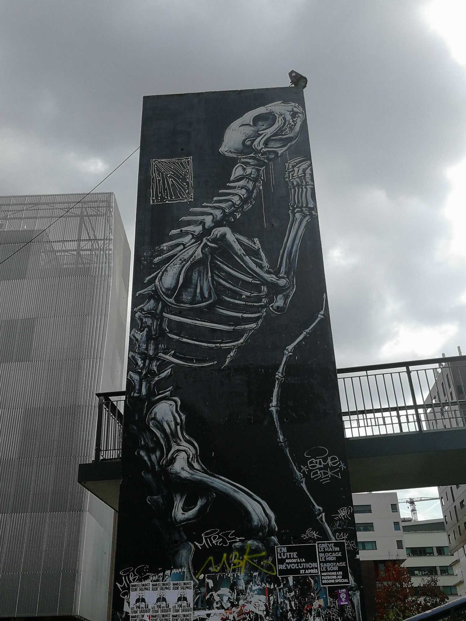 Squelette Monumental en Noir et Blanc — Street art à Paris