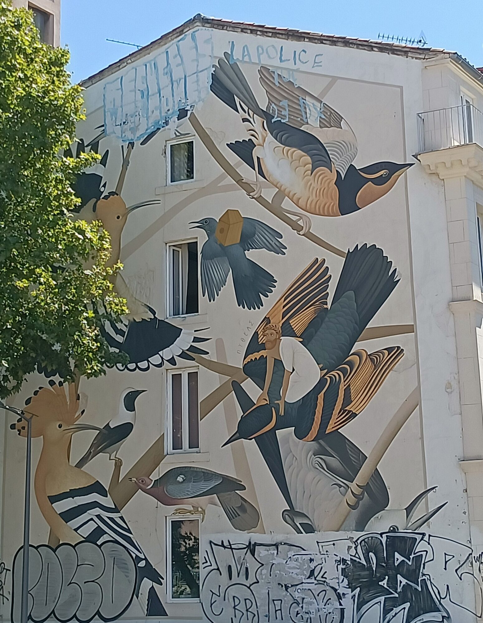 Les Murs d'Audubon, six oiseaux méditerranéens et américains — Street art de Fikos à Marseille
