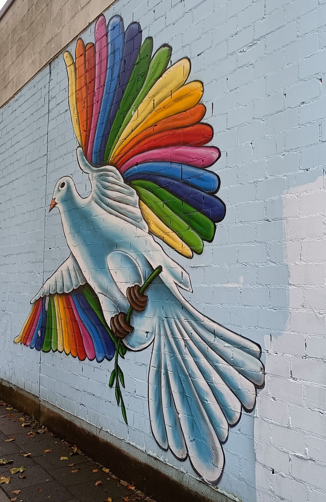 Colombe aux ailes arc-en-ciel — Street art à Köln
