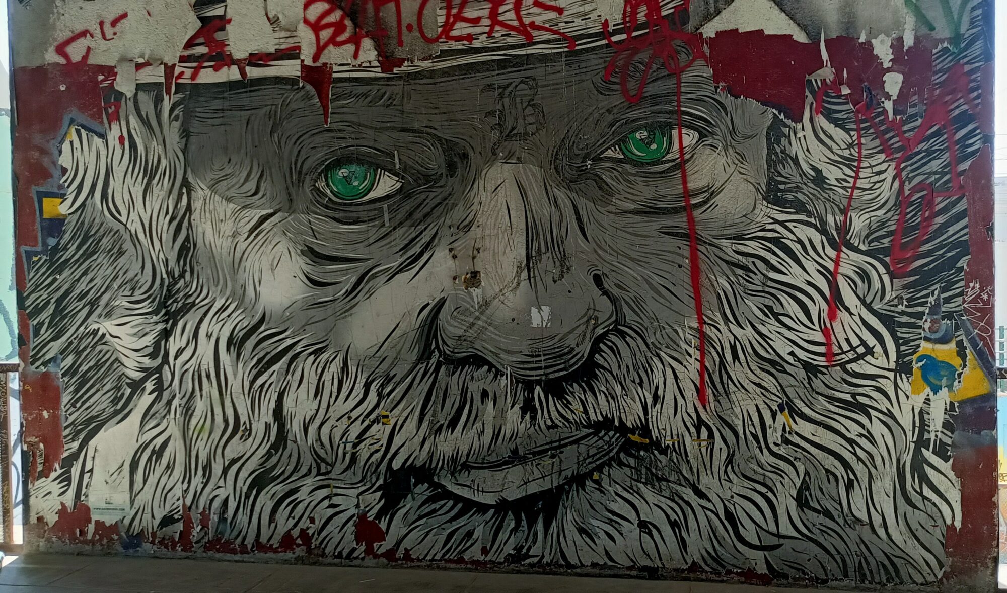 Vieil homme barbu aux yeux verts par Baze — Street art de Baze (Nicolas Henriot) à Marseille