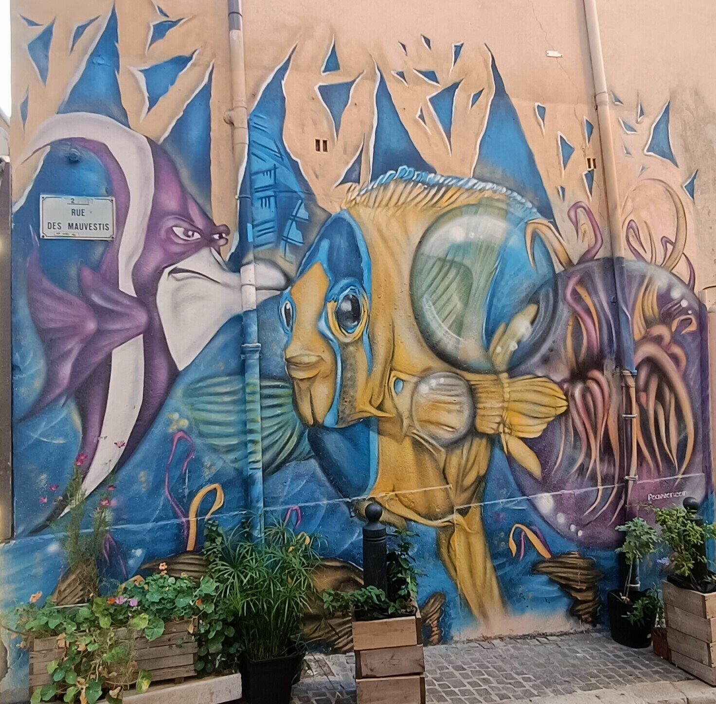 Reef on Rue des Mauvestis — Street art by Poasson in Marseille