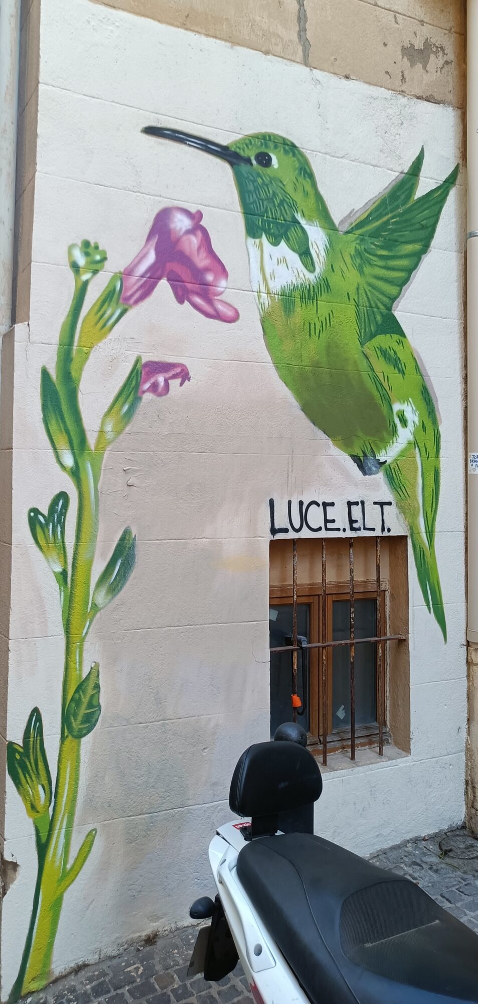 Hummingbird and Pink Flower by Luce ELT — Street art by Luce ELT in Marseille