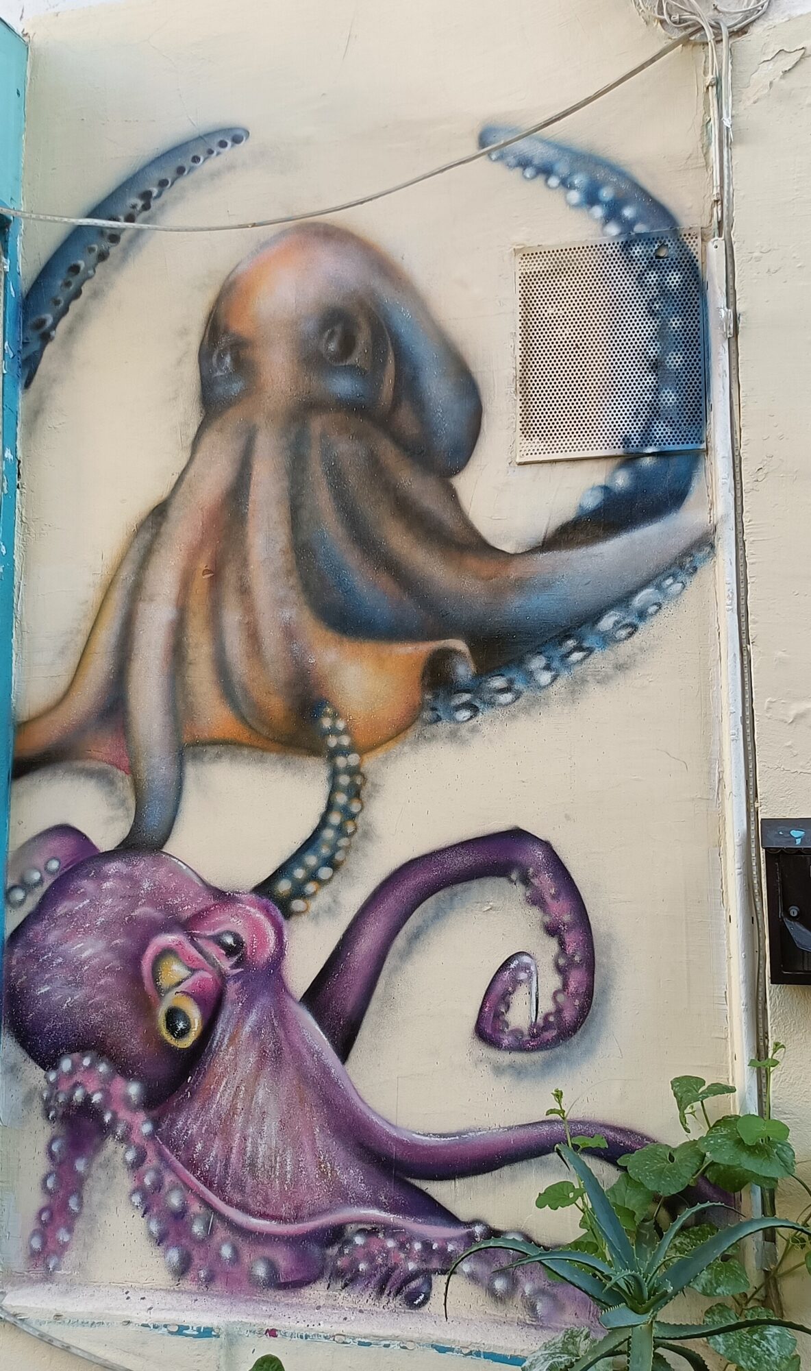 Deux pieuvres sur mur crème — Street art à Marseille