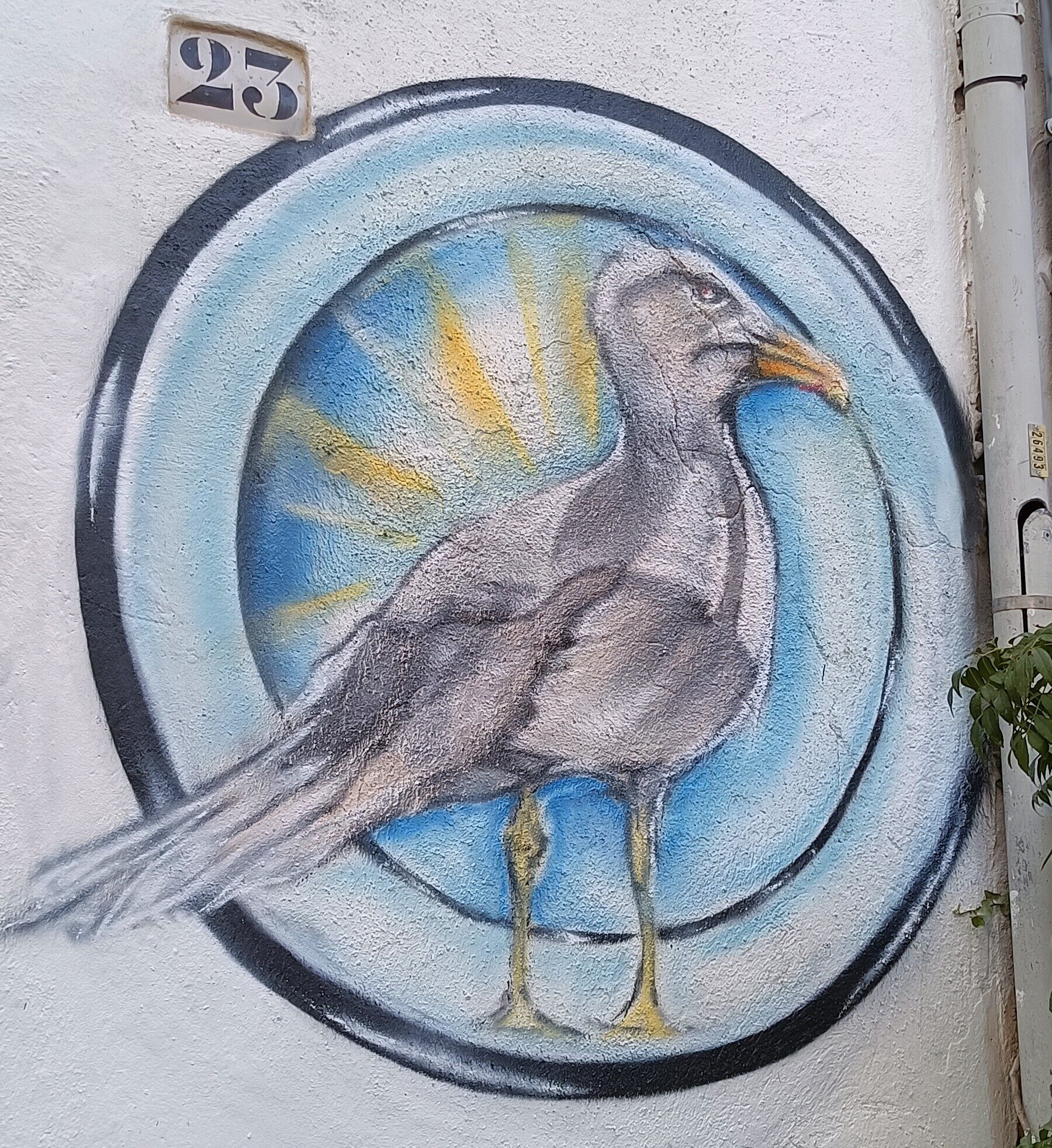 Seagull Medallion on Rue des Mauvestis — Street art in Marseille