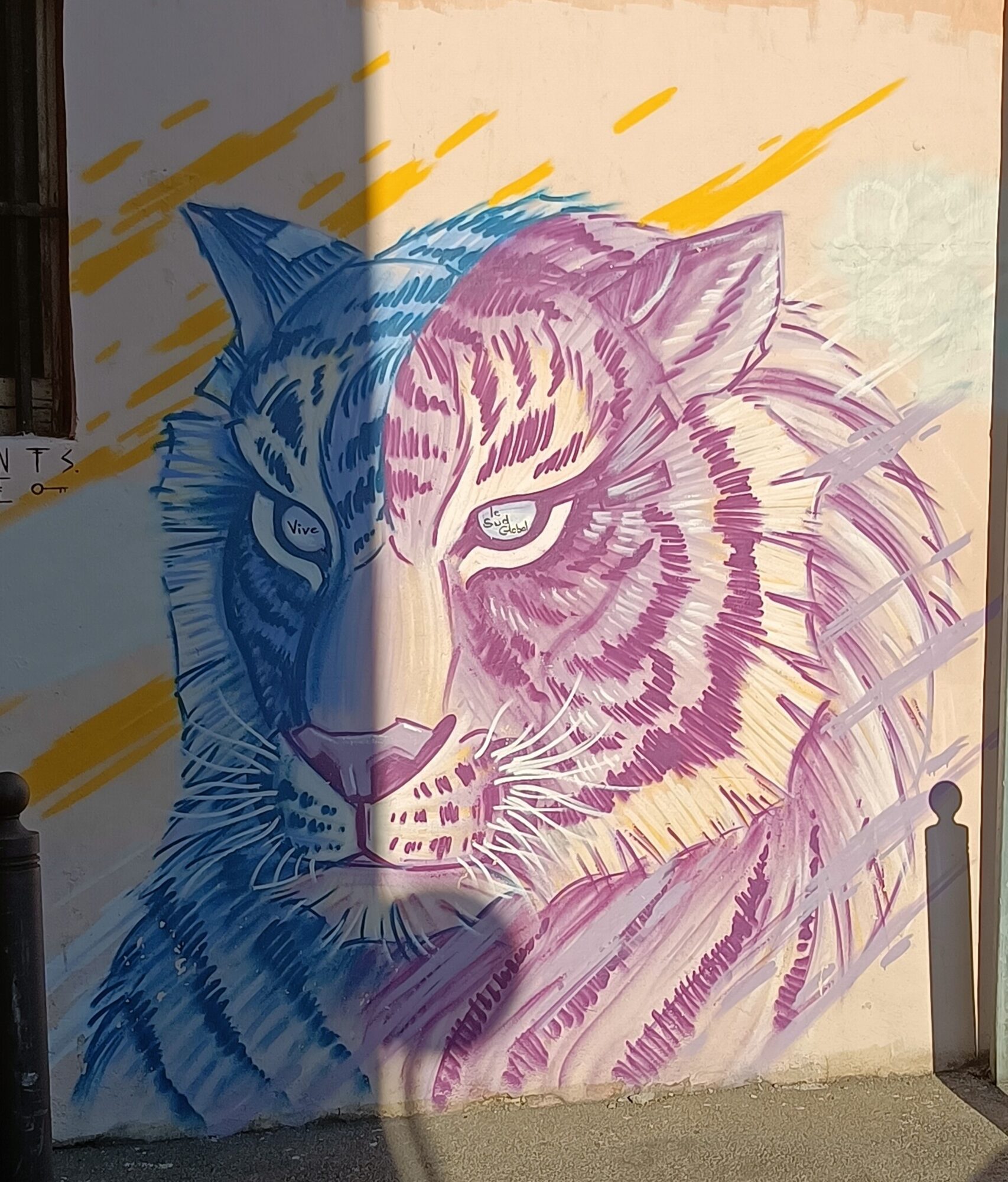 Two-Tone Tiger by Fragments — Street art by Fragments in Marseille