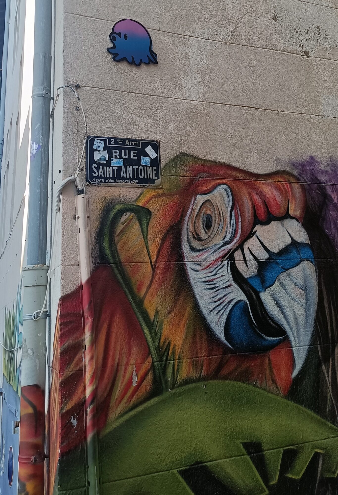 Cut-Out Octopus on Rue Saint-Antoine — Street art by Gzup in Marseille