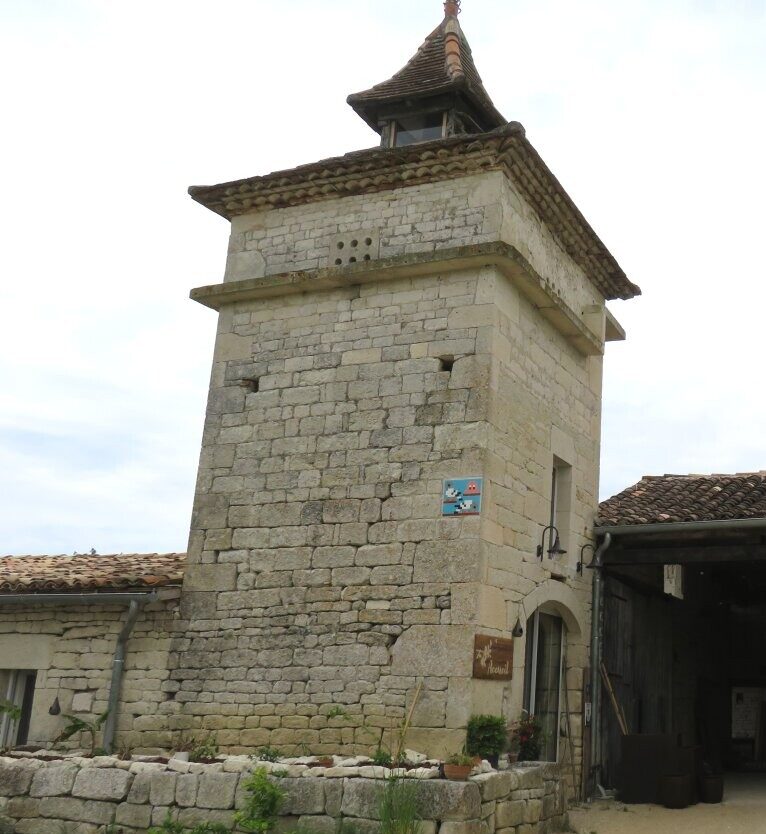 TLS_11, Space Invader du chemin de Limougne — Street art de Invader à Labastide-de-Penne
