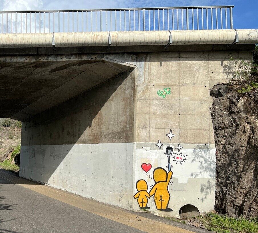 REUN_02, Space Invader on Route des Plages — Street art by Jace, Invader in Saint-Gilles-les-Bains