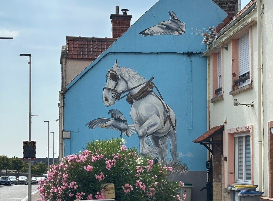 Draught Horse and Seagulls — Street art by Bruno Ghys in Boulogne-sur-Mer