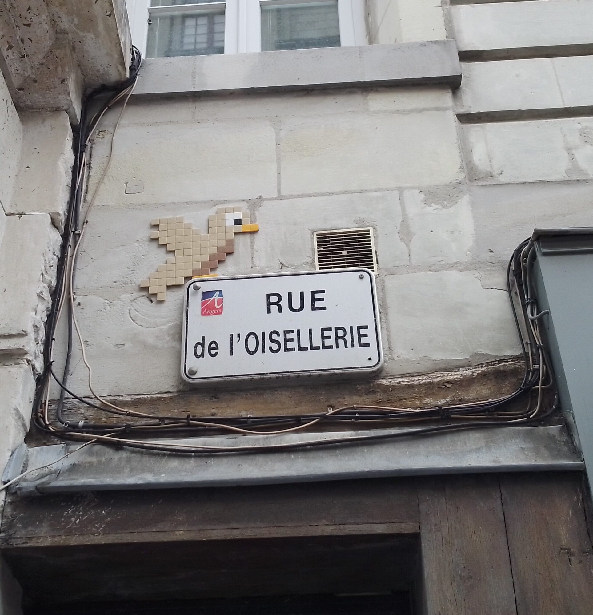 L'oiseau en carreaux au-dessus de la rue de l'Oisellerie — Street art de Waldo à Angers
